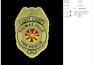 professionally digitize your logo for perfect embroidery